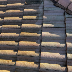 House Soft Washing